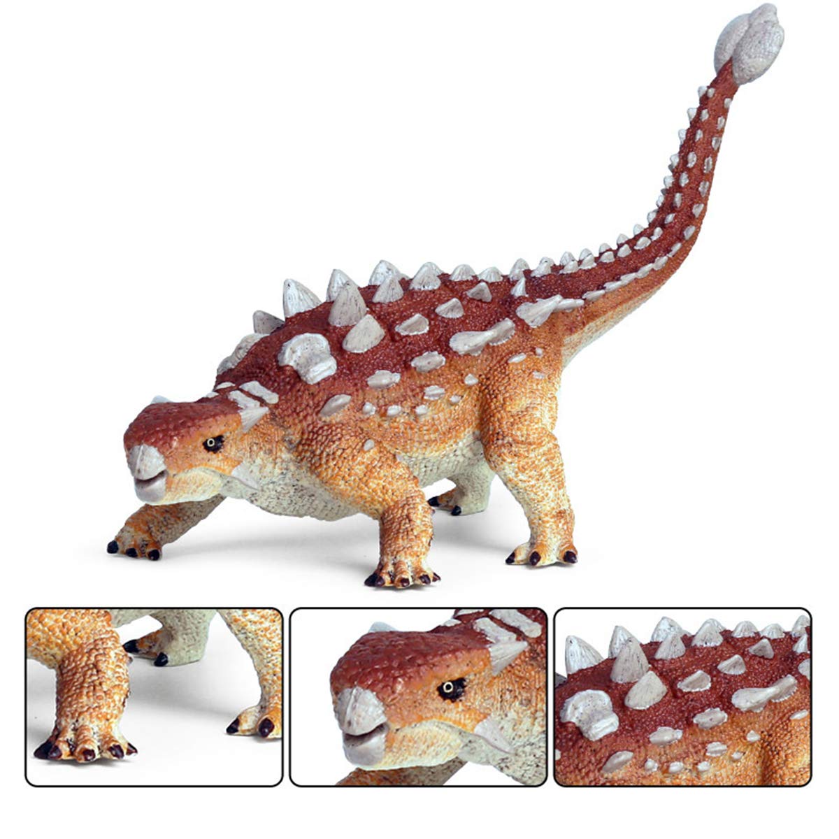 恐竜　アンキロサウルスの装甲化石　約60mm 恐竜アンキロサウルスの装甲化石約60mm